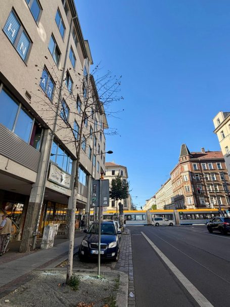 Eisi und TRAM direkt vor der Haustür
